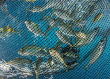 Tiefer Ozean-Fisch-Netzherstellungs-Maschine, runde Garn-Schatten-Netz-Maschine