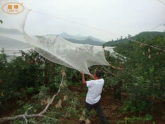 Weißfarbige Medizinische Netze Weaving Warp Strickmaschine