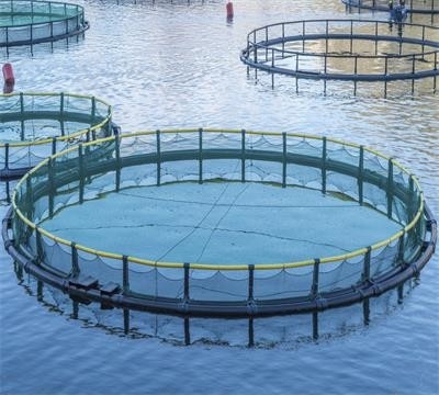 Fortschrittliche Maschine zur Herstellung von Knotenlosen Fischernetzen für eine schnelle und präzise Produktion