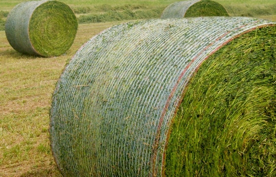 7500W Warp Stricking Hay Net Making Machine mit 260 Zoll Breite