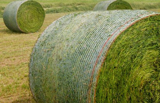 HDPE-Landwirtschaftsballennetz-Strickmaschine 7500W Kettstil