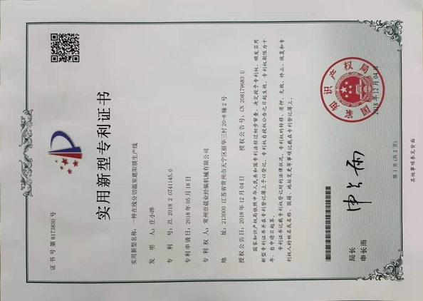 CHINA Changzhou Chenye Warp Knitting Machinery Co., Ltd. Leave Messages zertifizierungen